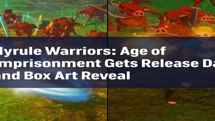 Hyrule Warriors Age of Imprisonment